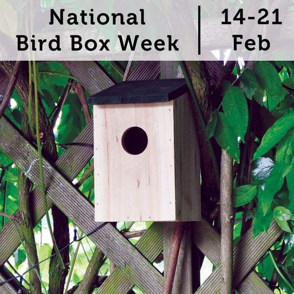National Nest Box Week | 14-21 Feb 2019