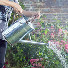 Load image into Gallery viewer, Smart Garden Galvanised Steel 9L Watering Can
