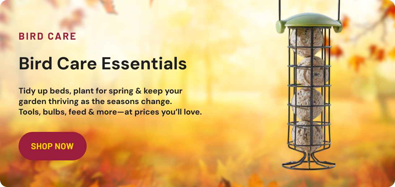 Bird Care Essentials