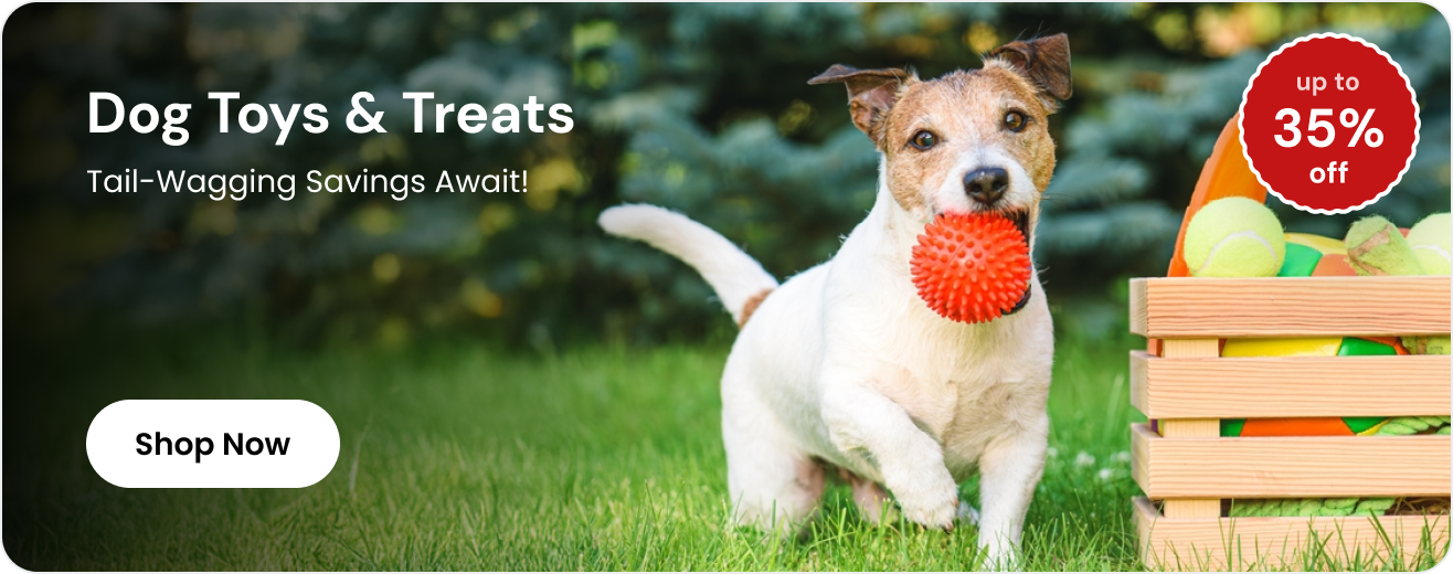 Dog Toys & Treats Desktop