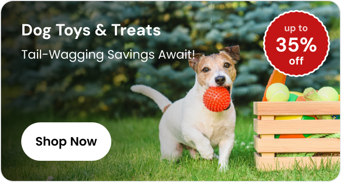 Dog Toys & Treats Mobile