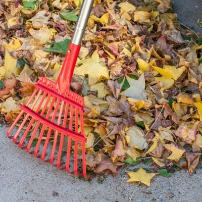 Garden Clean‑Up After Storms: What to Check and Replace