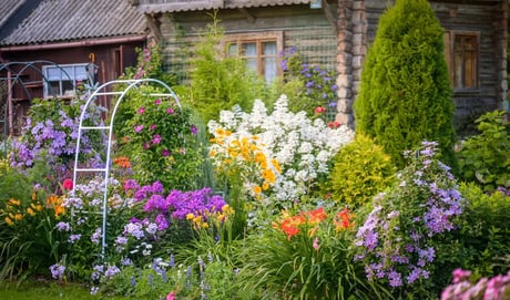 Summer Gardening Tips: How to Keep Your Garden Thriving All Season