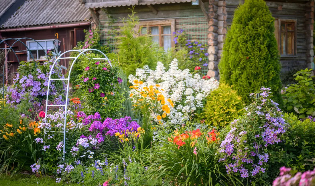 Summer Gardening Tips: How to Keep Your Garden Thriving All Season