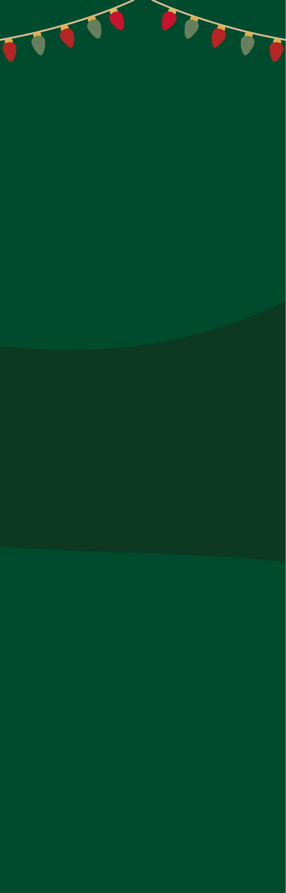 Homepage Banner Mobile