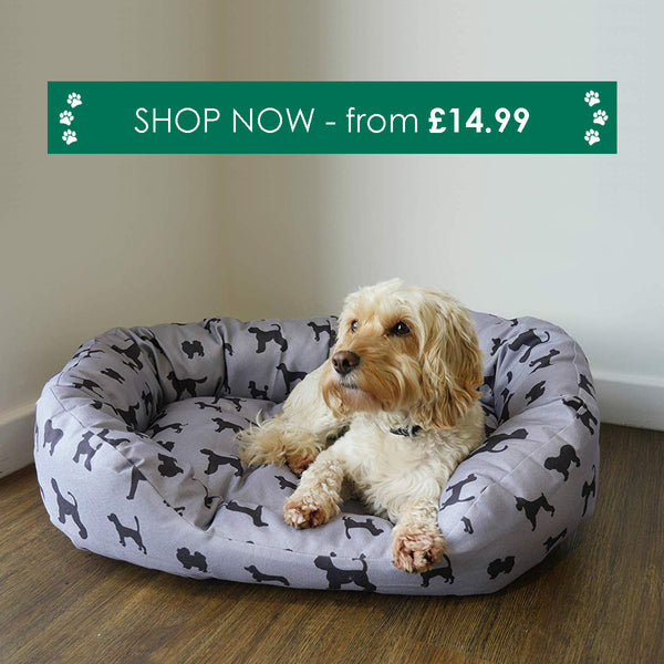 Choosing The Right Dog Bed