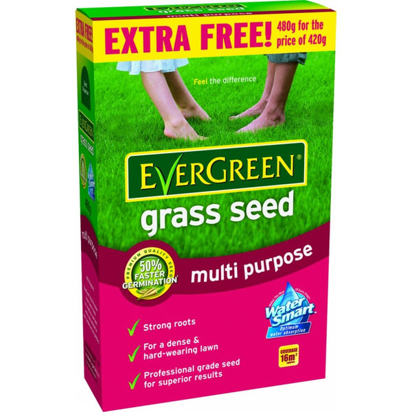 Evergreen Multi Purpose Lawn Seed - Special Offer
