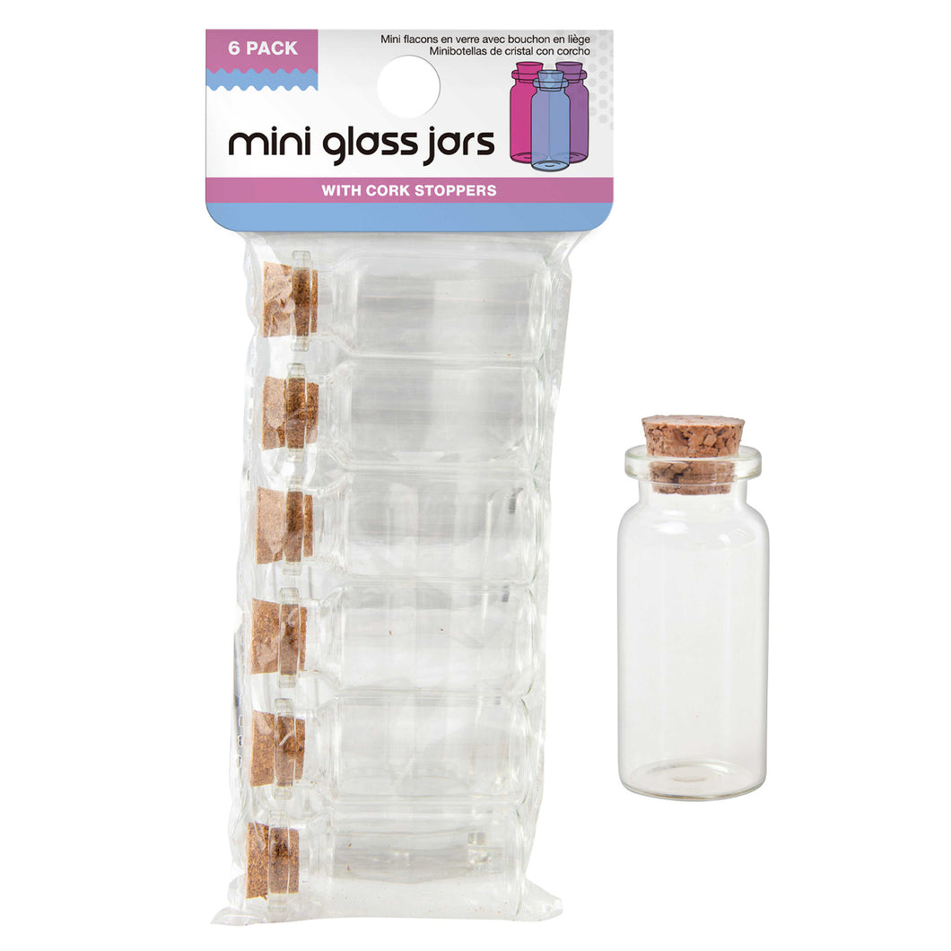 Mini Glass Craft Jars 6 Pack
