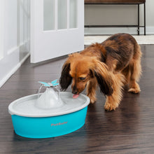 Load image into Gallery viewer, Petsafe Drinkwell Butterfly Pet Fountain
