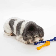 Load image into Gallery viewer, Petaverse Play Interactive Dog Tug Toy