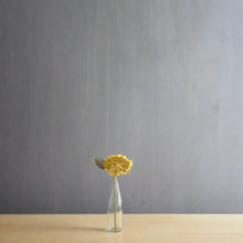 Load image into Gallery viewer, Artificial Berry Mustard Hydrangea Spray 38cm
