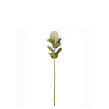 Load image into Gallery viewer, Artificial Single Stem Cream Banksia 59cm
