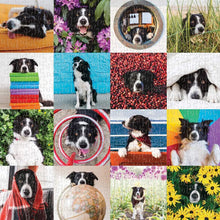 Load image into Gallery viewer, Galison Momo The Dog Jigsaw Puzzle 500pcs
