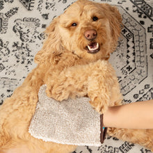Load image into Gallery viewer, E-Cloth Pet Grooming &amp; Massage Microfibre Mitt
