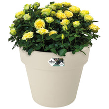 Load image into Gallery viewer, Elho Cotton White Top Planter 23cm
