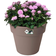 Load image into Gallery viewer, Elho Taupe Top Planter 23cm
