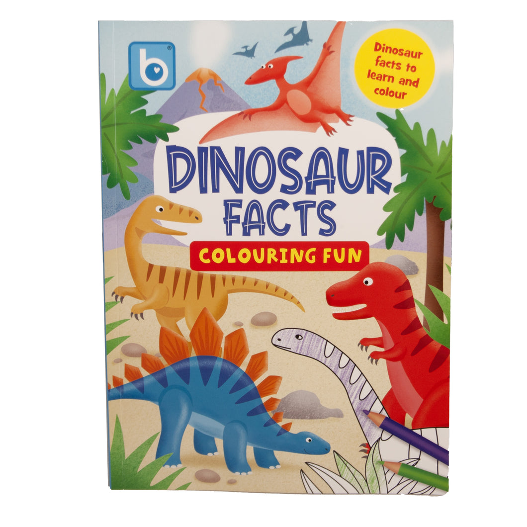 Dinosaur Facts Colouring Book