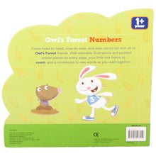 Load image into Gallery viewer, Heads, Tails &amp; Noses Owl&#39;s Forest Numbers Book

