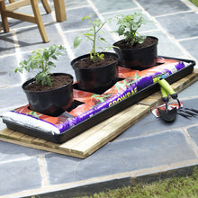 Load image into Gallery viewer, Tomato Grow Bag &amp; Tray
