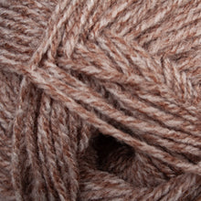 Load image into Gallery viewer, Ribston Double Knit Peat Wool 100g

