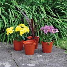 Load image into Gallery viewer, Kingfisher Plastic Plant Pots 
