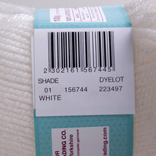 Load image into Gallery viewer, Ribston Double Knit Wool 100g White 01
