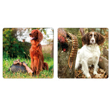 Load image into Gallery viewer, Gun &amp; Game Mans Best Friend Coasters 8pk
