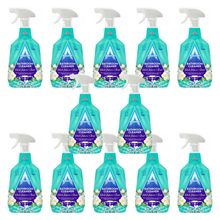 Load image into Gallery viewer, Astonish Bathroom Cleaner 750ml