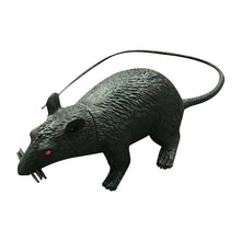 Load image into Gallery viewer, Halloween Rats Assorted
