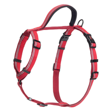 Load image into Gallery viewer, HALTI Walking Harness - Red Large
