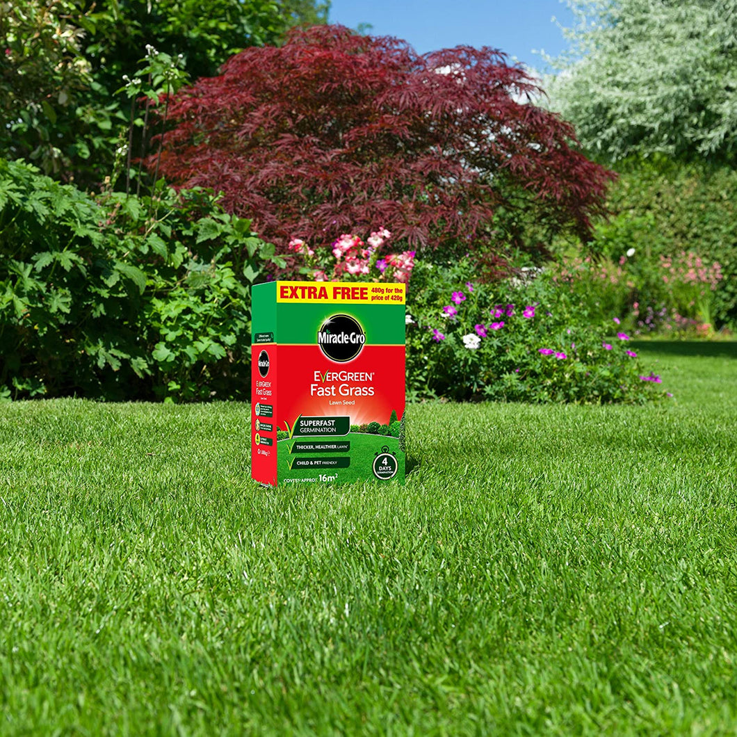 Miracle-Gro EverGreen Fast Grass Lawn Seed 480g