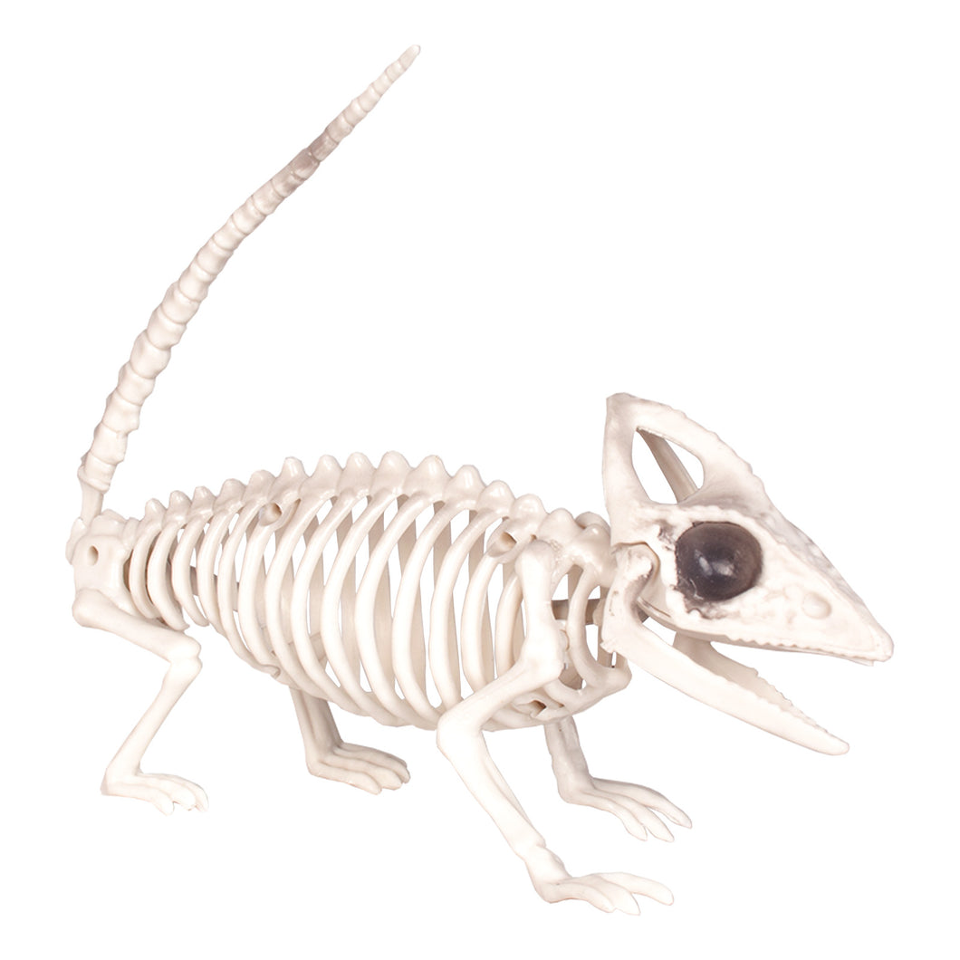 Skeleton Lizard