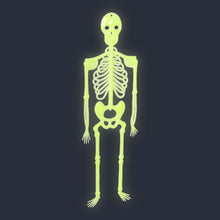 Load image into Gallery viewer, Hanging glow in the dark skeleton