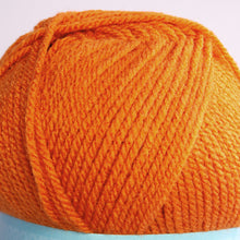 Load image into Gallery viewer, Ribston Double Knit Wool 100g Spice 20B
