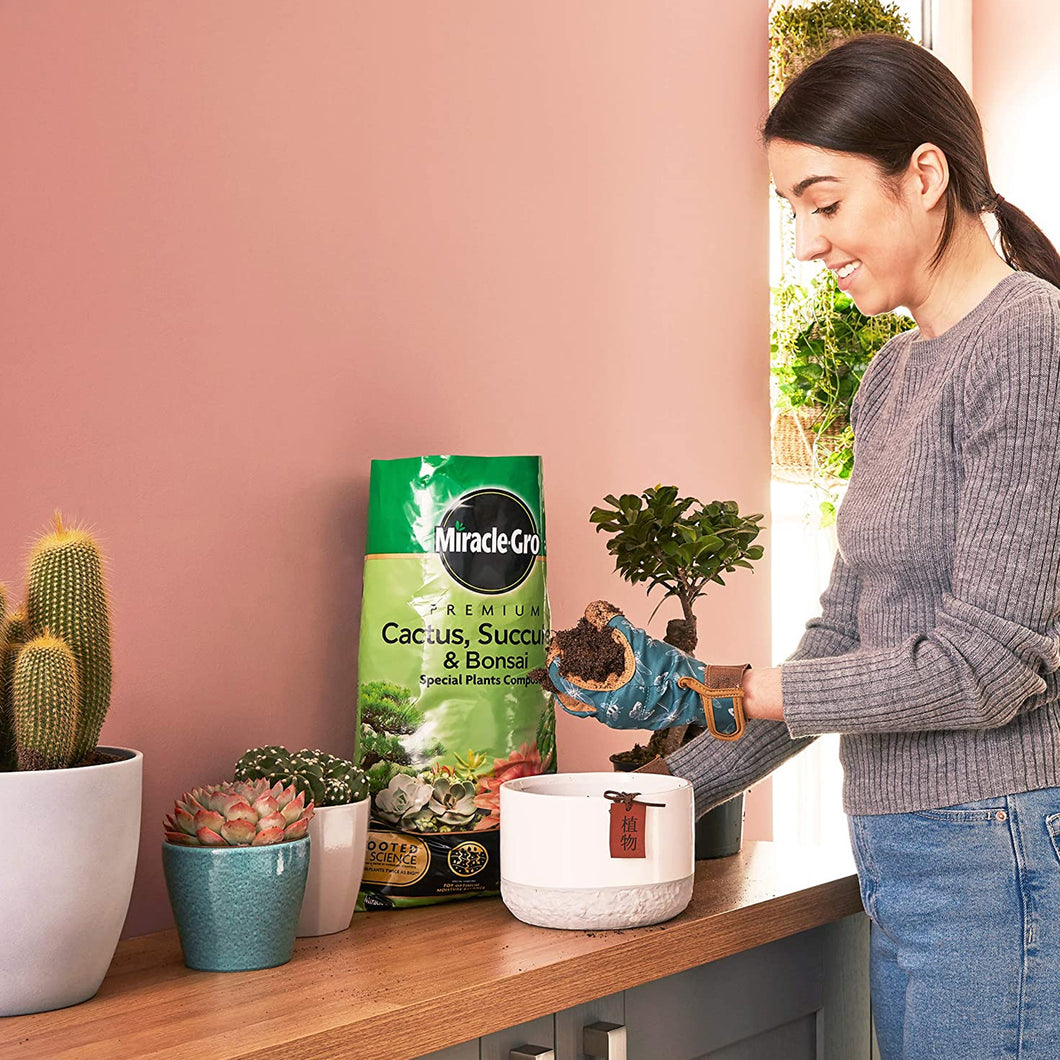 Miracle Gro Premium Cactus, Succulent & Bonsai Compost 6L