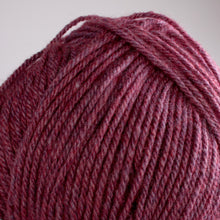 Load image into Gallery viewer, Ribston Aran Wool 400g Thistle 05
