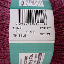 Load image into Gallery viewer, Ribston Aran Wool 400g Thistle 05

