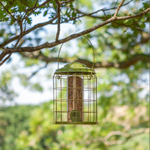 Load image into Gallery viewer, ChapelWood Premier Squirrel Proof Seed Feeder
