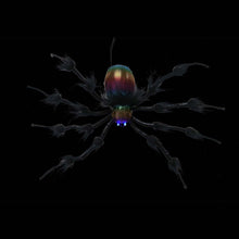 Load image into Gallery viewer, Animated Floating Furry Spider

