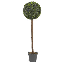 Load image into Gallery viewer, Smart Garden Uno Topiary Tree 120cm
