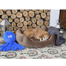 Load image into Gallery viewer, Zoon Latte Velour XL Square Dog Bed
