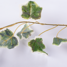 Load image into Gallery viewer, Variegated English Ivy Strand 94cm
