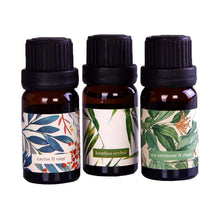 Load image into Gallery viewer, Baltus Essential Oils 3 Pack
