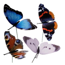 Load image into Gallery viewer, Green Jem Pack Of 4 Butterflies On Sticks
