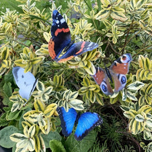 Load image into Gallery viewer, Green Jem Pack Of 4 Butterflies On Sticks
