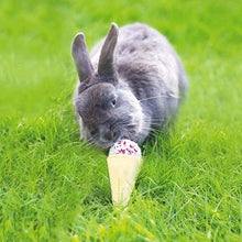 Load image into Gallery viewer, A grey rabbit eating a raspberry and coconut &#39;ice cream&#39; treat for small pets
