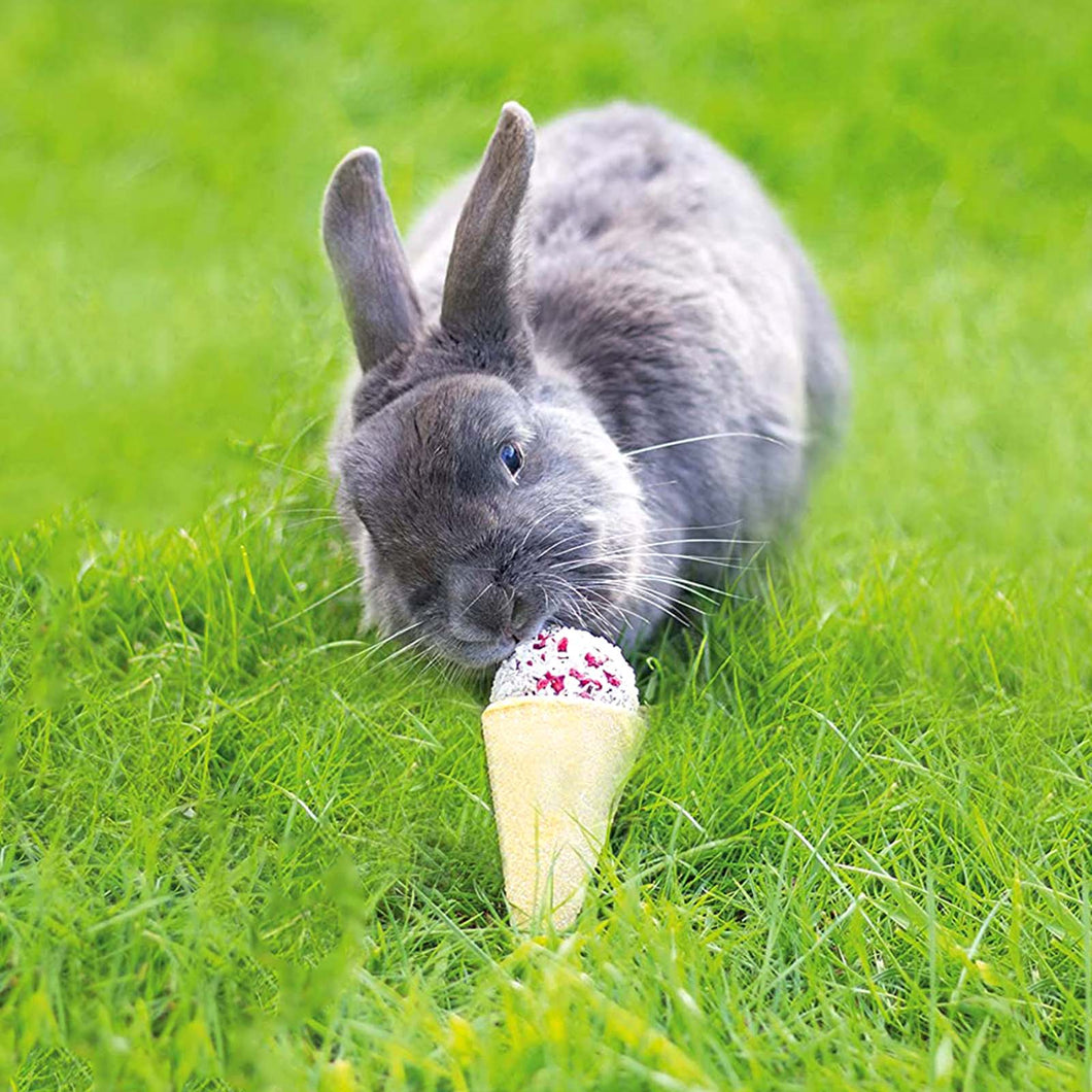 A grey rabbit eating a raspberry and coconut 'ice cream' treat for small pets