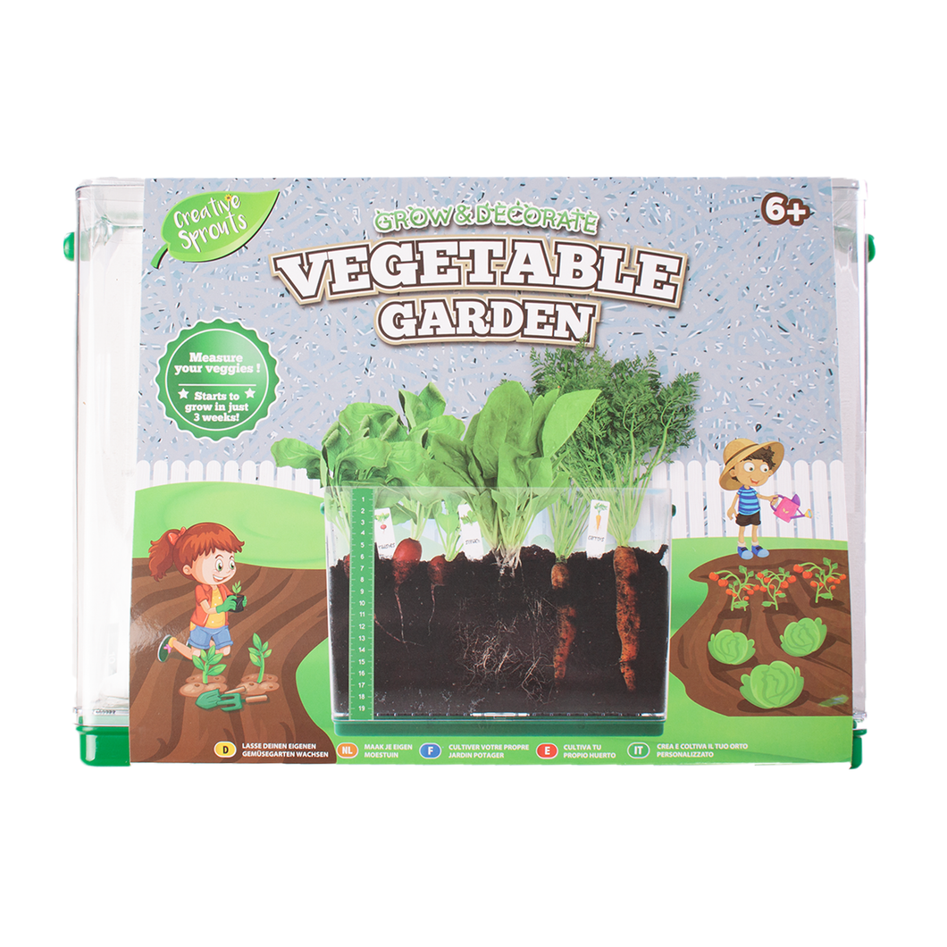 Creative Sprouts See Through Vegetable Garden Kit