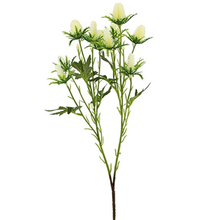 Load image into Gallery viewer, Wild Eryngium (Seaholly) Spray 68cm- Ivory
