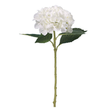 Load image into Gallery viewer, Hydrangea Large 51cm - Ivory
